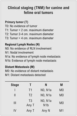 Canine salivary gland carcinoma treated with stereotactic body radiation therapy: a retrospective case series